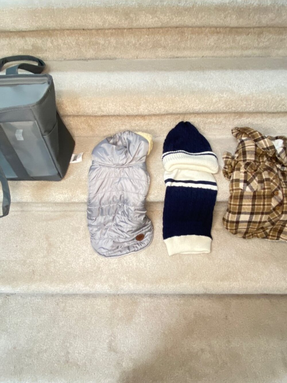 Dog /Puppy Travel Carrier and 3 Sweater/Jackets